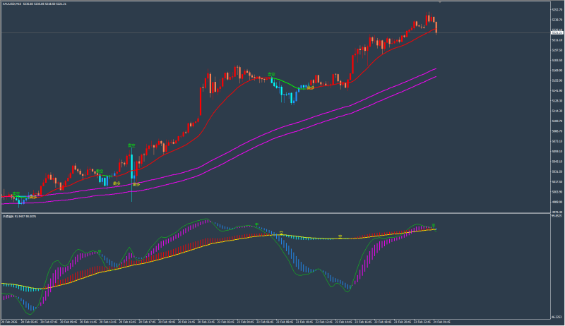天眼交易系统 MT4(2026性能优化版)交易的工具|外汇EA|外汇论坛|MT4指标|MT5软件|EA源码|MQL编程|跟单系统|马丁格尔|狼行天下|财经东北路|ctrader|蜡烛图技术|外汇知识|自动化交易1mt5