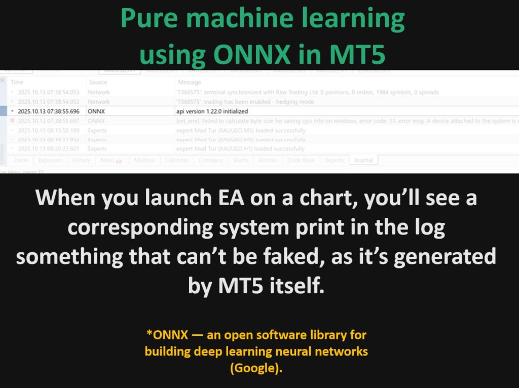 mad-turtle-screen-8728