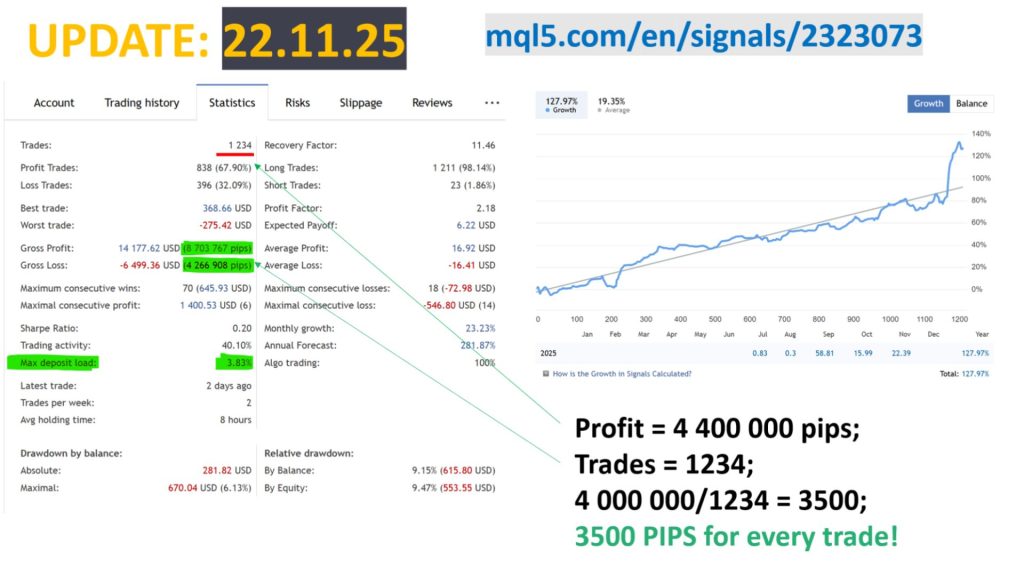 mad-turtle-screen-5831
