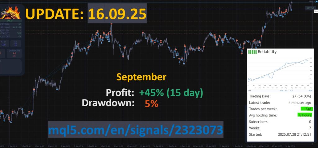 mad-turtle-screen-7750