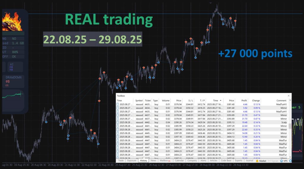 mad-turtle-screen-6312