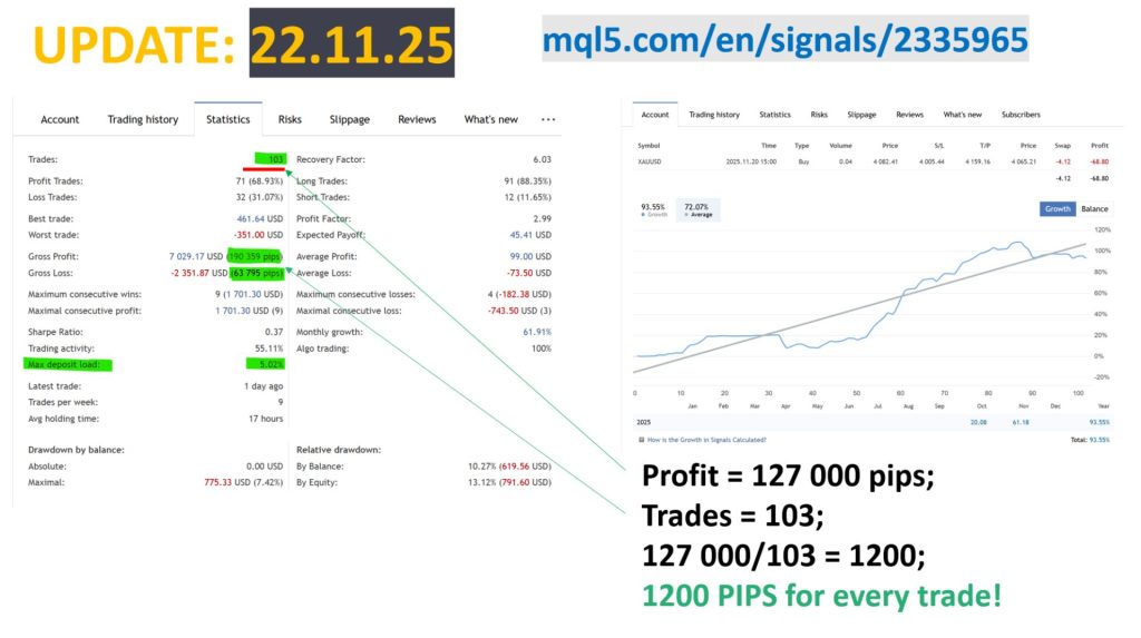 mad-turtle-screen-5661