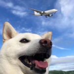 yeelenis的头像交易的工具|外汇EA|外汇论坛|MT4指标|MT5软件|EA源码|MQL编程|跟单系统|马丁格尔|狼行天下|财经东北路|ctrader|蜡烛图技术|外汇知识|自动化交易1mt5