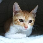 松山車銀優的头像交易的工具|外汇EA|外汇论坛|MT4指标|MT5软件|EA源码|MQL编程|跟单系统|马丁格尔|狼行天下|财经东北路|ctrader|蜡烛图技术|外汇知识|自动化交易1mt5